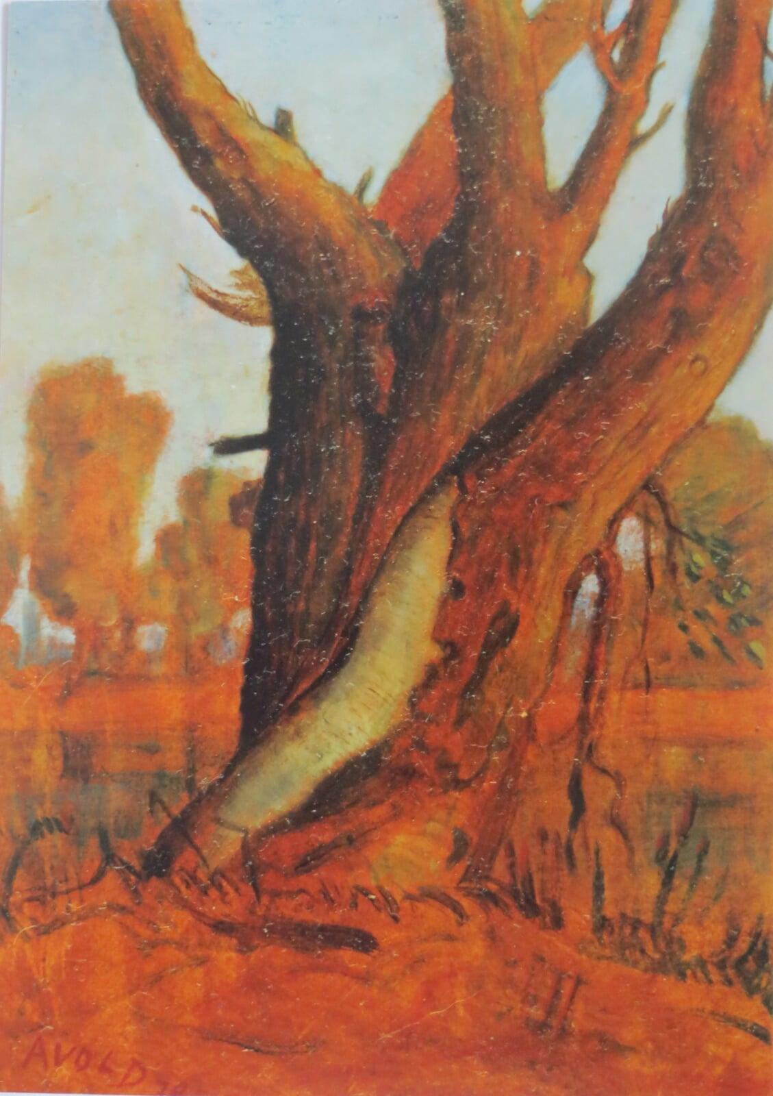 Im hessischen Ried 4