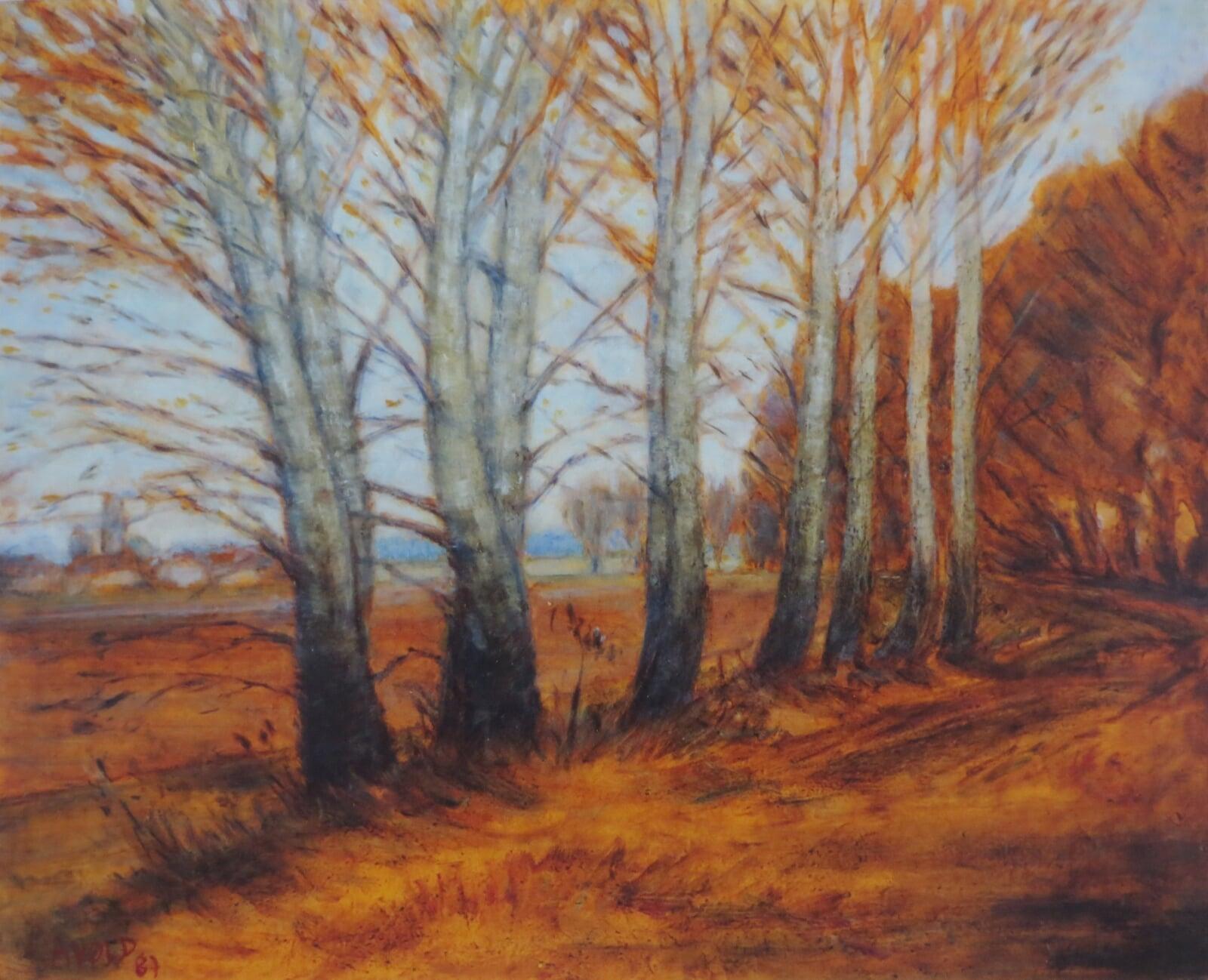 Im hessischen Ried 3