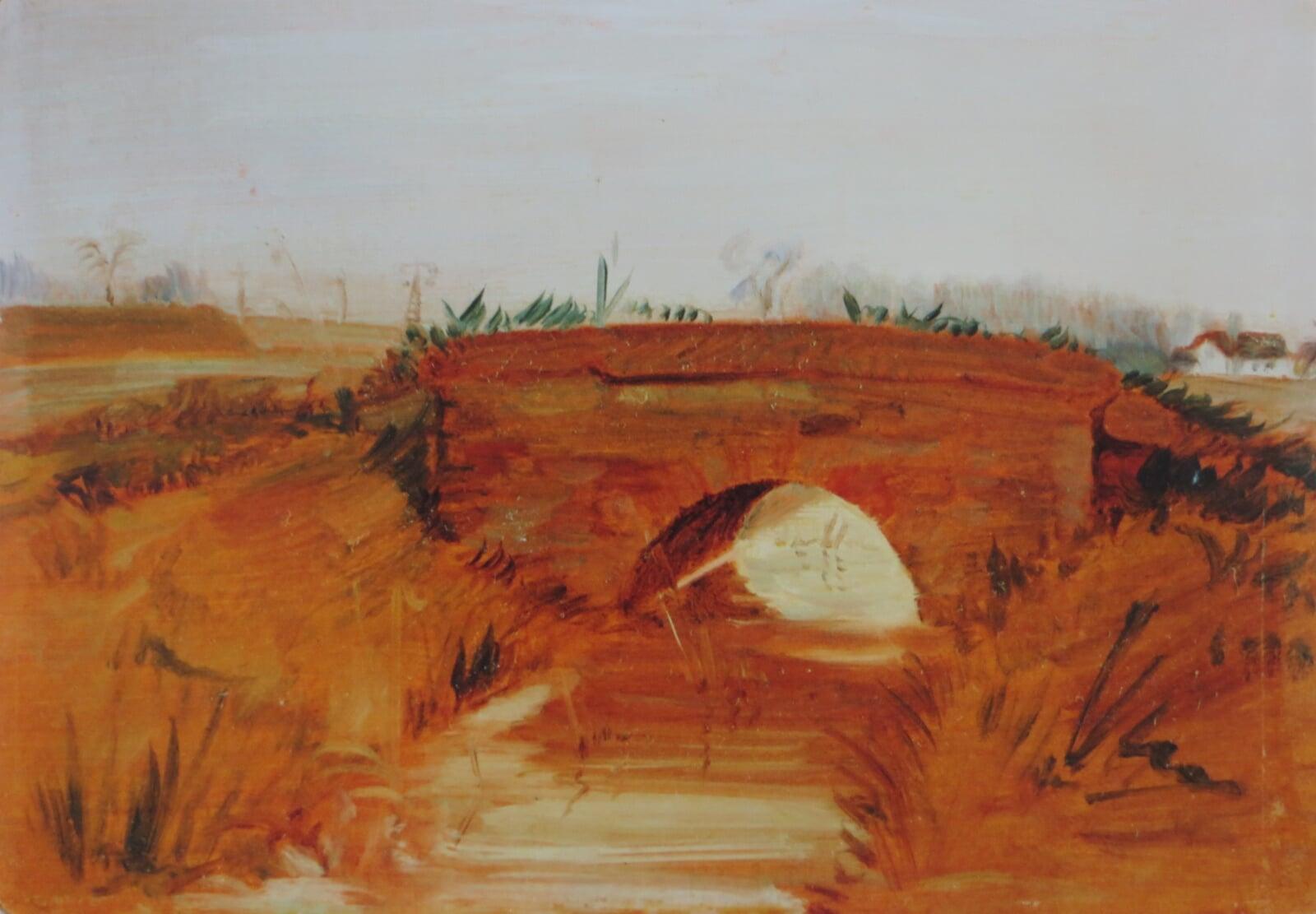 Im hessischen Ried 1