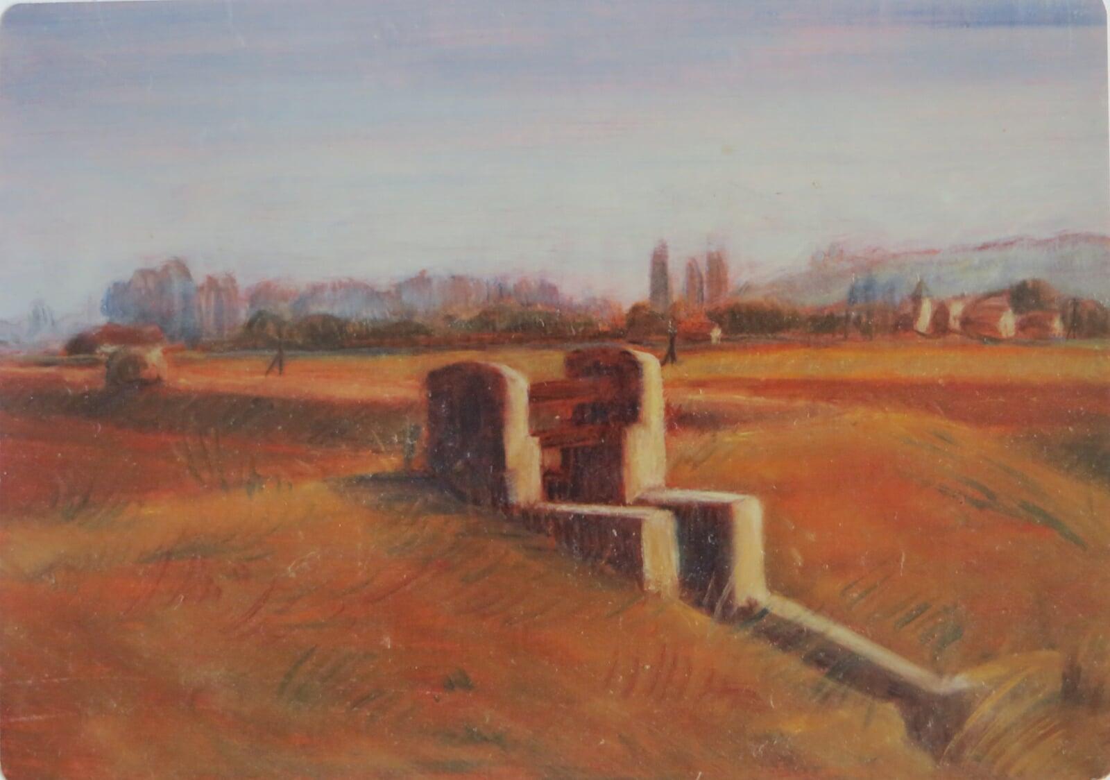 Im hessischen Ried 2